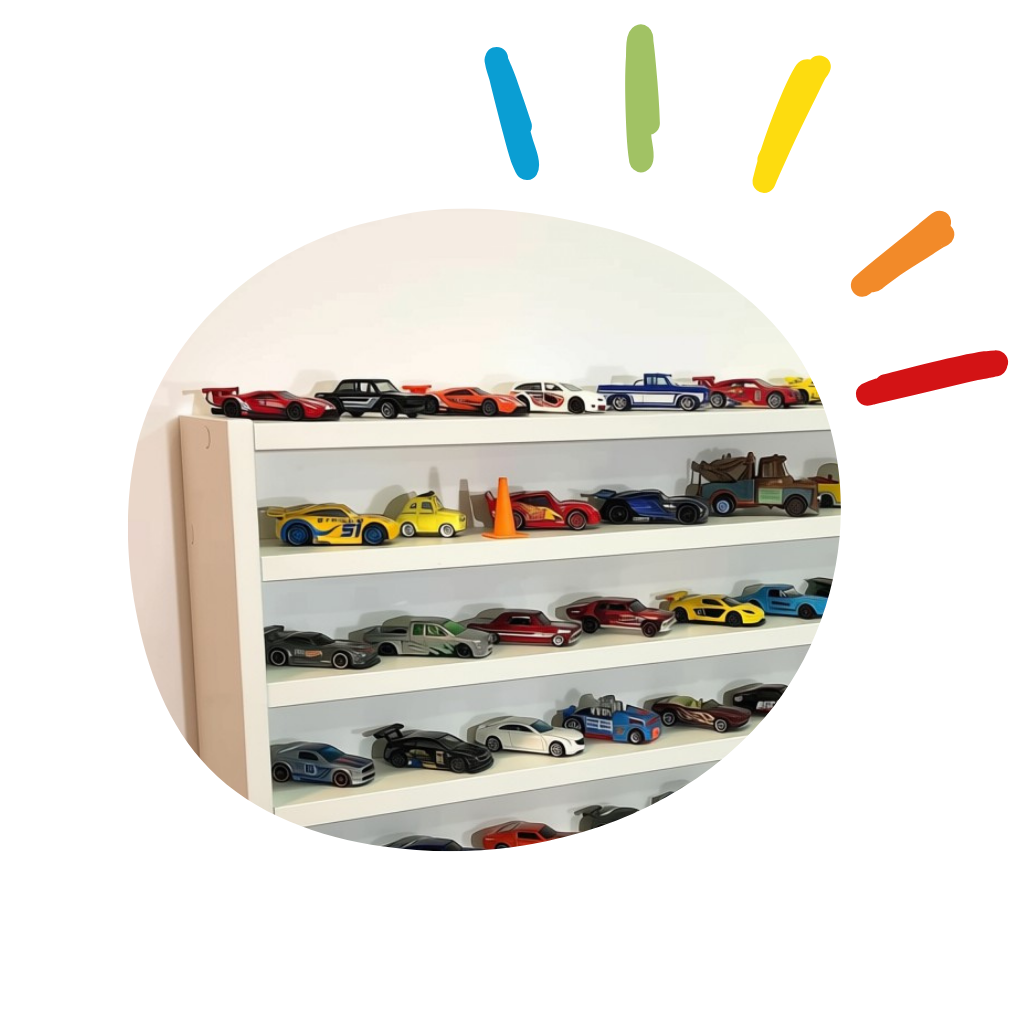 organizador de carrinhos 6
